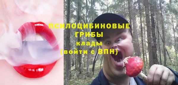 гидра Абинск