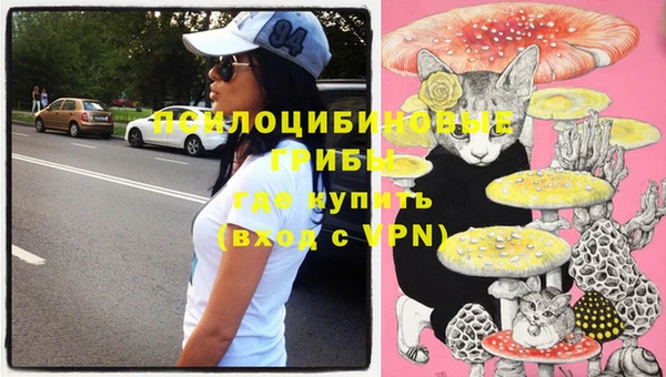индика Абдулино
