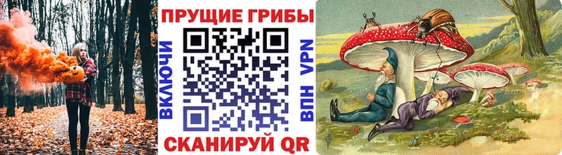 KRAKEN маркетплейс Абаза Псилоцибиновые грибы Magic Shrooms